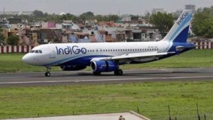 Indigo Plan Ahead Sale, Indigo, Indigo Sale
