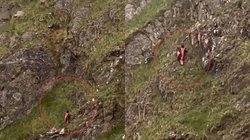 बिना किसी हारनेस के सरसराते हुए पहाड़ों पर चढ़ गई युवती, Viral Video देख यूजर्स हुए दंग, कहा – यह तो स्पाइडरमैन…