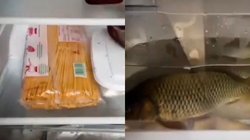 अरे बाप रे… घर के फ्रिज में यह क्या रख दिया, Viral Video देख दंग हुई इंटरनेट की जनता, कहा – बहुत खतरनाक लोग हैं