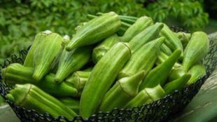Ladyfinger , okra , foods to avoid with Ladyfinger