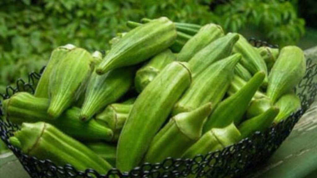 Ladyfinger , okra , foods to avoid with Ladyfinger