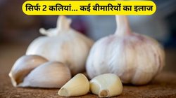 रोज़ाना 2 कली लहसुन खाने से सेहत पर होता है अमृत जैसा असर, जानिये कैसे