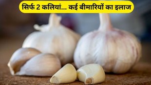 Eating 2 Garlic Colves for health hindi, Eating 2 Garlic Colves for immunity, Eating 2 Garlic Colves for cholesterol