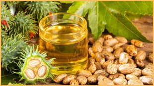 Castor oil, castor oil beauty uses, castor oil benefits