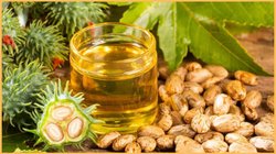 चेहरे पर अरंडी का तेल कैसे लगाएं? यहां जान लें कैस्टर ऑयल लगाने का सबसे बेस्ट तरीका