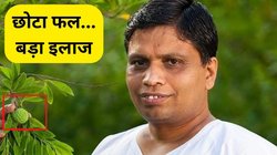 गर्मियों में सेहत के लिए रामबाण है ये फल, आंतों की बीमारी से लेकर पाचन तंत्र भी होगा दुरुस्त, आचार्य बालकृष्ण ने बताए फायदे