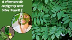 Neem leaves health benefits: कड़वी ही सही ये पत्तियां खून तो साफ करती हैं, ब्लड में जमा सारे टॉक्सिन को निकाल देती हैं बाहर, अंग-अंग की हो जाती है सफाई