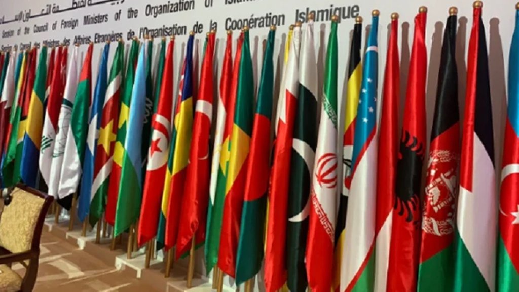 India diplomatic win, Pakistan OIC failure, Kashmir issue, Baijayant Panda, Operation Sindoor