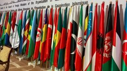 OIC में कश्मीर मुद्दा उठाने पर तीन मुस्लिम देशों ने पाकिस्तान के मंसूबे पर ऐसे फेरा पानी; भारत की बड़ी कूटनीतिक जीत