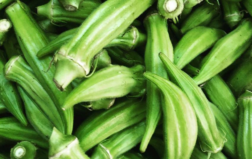 Can drink Okra Water