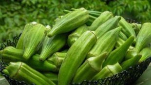 bhindi ke sath kya nahi khana chahiye, foods to avoid with Ladyfinger okra, bhindi ke sath dahi khana chahiye, bhindi ke sath kya na khaye
