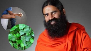 baba Ramdev, baba ramdev tips for piles, benefits of nagdon leaves, nagdon leaves for hemorrhoids piles, nagdon leaves for digestive system