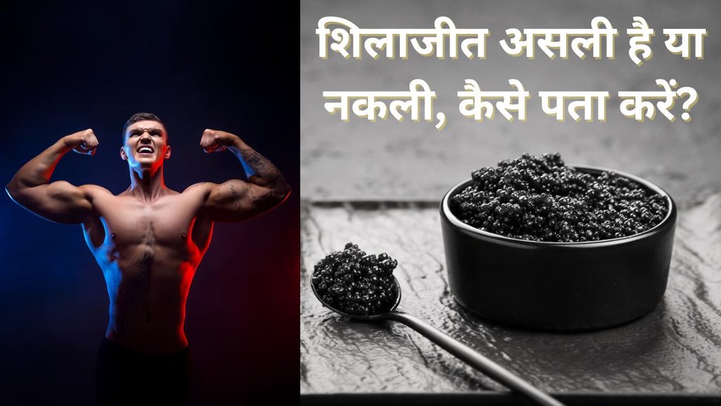 Shilajit | shilajit uses | shilajit capsule