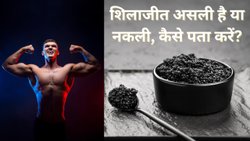 शरीर में शक्ति बढ़ाने के लिए क्या आप भी खाते हैं शिलाजीत ? डॉक्टर से जानिए असली और मिलावटी Shilajit में अंतर करने के तरीके