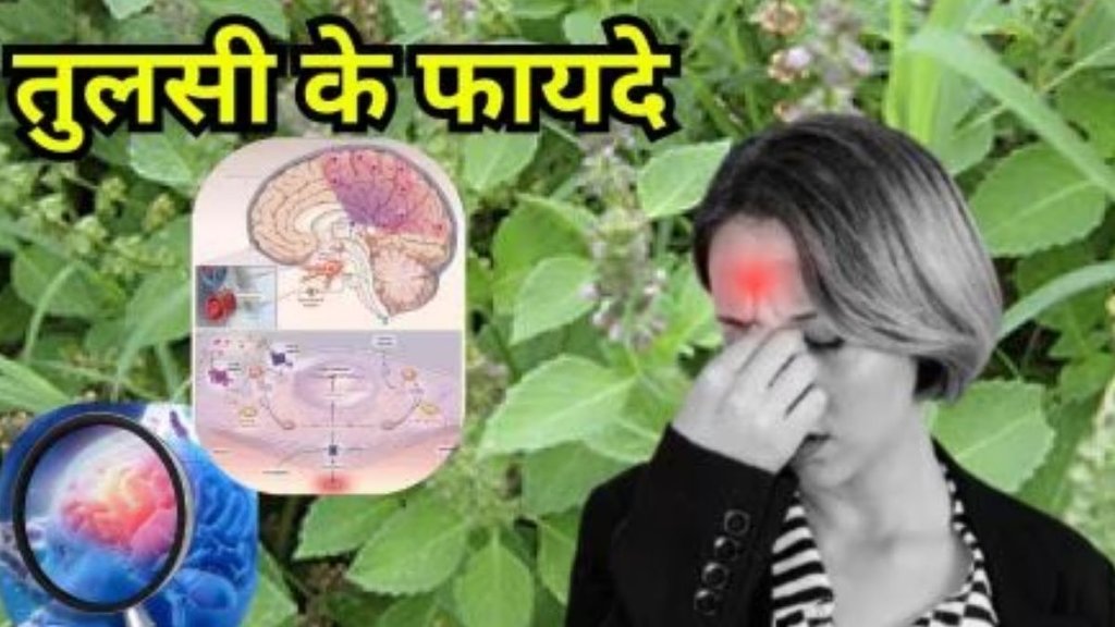 Tulsi Ke Fayde