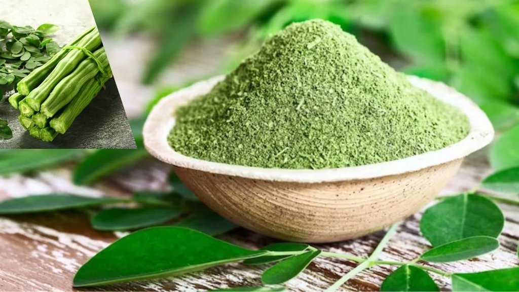 moringa tea, moringa tea benefits, Moringa Tea For Weight Loss