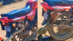 Snake Video| Snake Viral Video| Trending Video