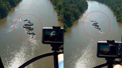 Amazon के जंगलों में तैरता दिखा विशालकाय एनाकोंडा! सोशल मीडिया पर आग की तरह फैल रहा वीडियो, रियल या AI? छिड़ी बहस