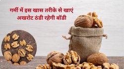 क्या गर्मी में अखरोट खाना चाहिए? समर में रोज 1 महीने तक अगर Walnut खाएं तो सेहत पर कैसा होता है असर, एक्सपर्ट से जानिए