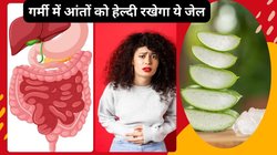 Aloe vera for summer: गर्मी में आंतों की सूजन को कंट्रोल करता है ये ठंडा जेल, रोज पानी में मिलाकर पी लें, मेटाबॉलिज्म होगा बूस्ट मिलेंगे 4 फायदे