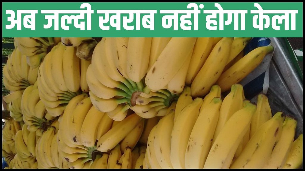 How To Store Banana For Long Time, How to keep bananas fresh , Keep Bananas from Ripening Too Fast