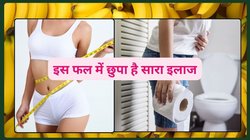 सेहत के लिए अमृत है 12 महीने मिलने वाला ये ठोस फल, रोज खाएंगे तो पाचन से लेकर वजन तक रहेगा कंट्रोल, लेकिन 1 बीमारी में यह अमृत बन जाता है ज़हर