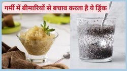 गोंद कतीरा ड्रिंक में चिया या सब्जा सीड्स, गर्मी में कौन देगा सबसे ज्यादा फायदा, एक्सपर्ट से जानिए
