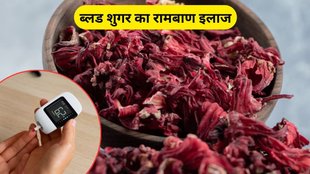 benefits of hibiscus, hibiscus for blood sugar, hibiscus benefits, bp control, hemorrhoid, gudhal ke fayde