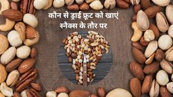 Best Dry Fruits: बॉडी बिल्डिंग का काम करते हैं बादाम, अखरोट और काजू, गर्मी में कौन सा ड्राई फ्रूट है Best Snacks, जानिए खाने का तरीका