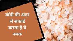 Black Salt: ये नमक नहीं बल्कि सेहत के लिए अमृत है, शरीर की कोने-कोने की करता है सफाई, पेट भी रहता है दुरुस्त