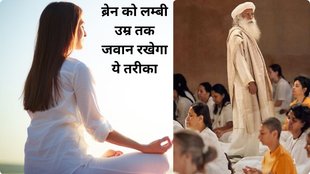 Harvard study, Samaya meditation, brain ageing, Samyama Sadhana, reverse brain aging, mindfulness, brain health, meditation benefits,