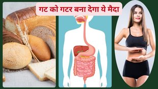 white bread,Auto Brewery Syndrome,health scare,intestines,Isabgol,health coach,breads, daily bread side effects, is bread healthy, a