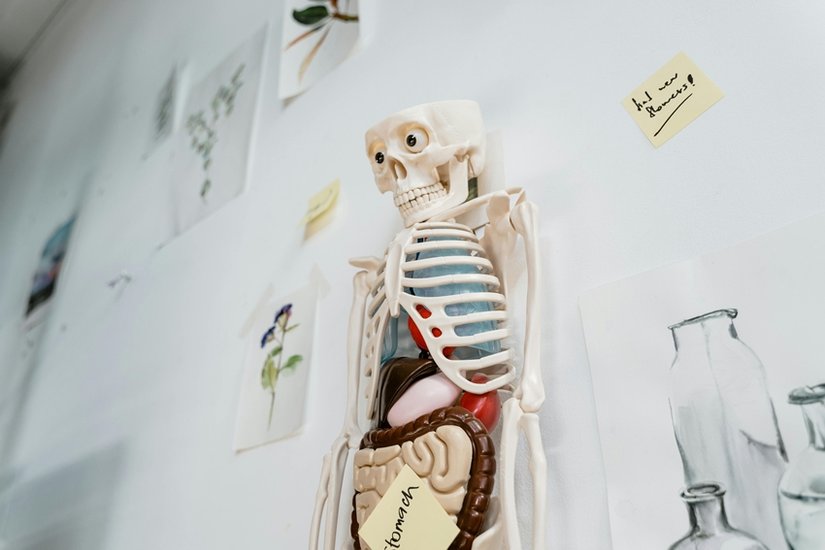 career in healthcare without MBBS