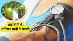 BP हाई में नारियल पानी क्यों पीना चाहिए? एक्सपर्ट से जानिए कारण और कब करना चाहिए सेवन
