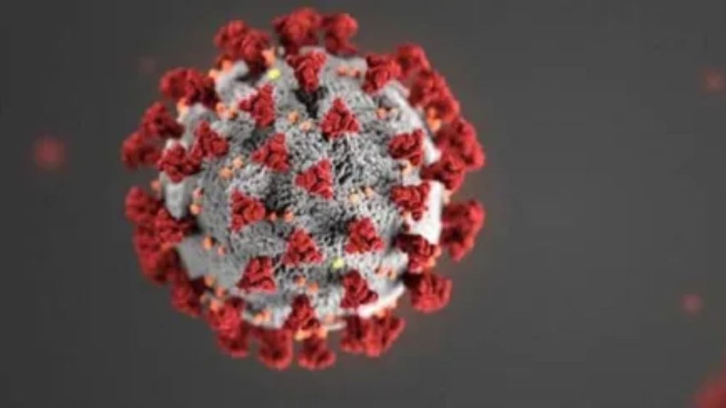 corona virus | hongkong | singapore |
