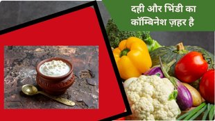 Curd,Bad Food Combinations,Worst Food Combinations,Foods you should avoid eating with curd,dahi ke sath kya nahi khana chahiye ,dahi khane ke nuksan,kin chijo ke sath dahi nhi khana chaiye,curd should not be eaten with these things,harmful with curd,poison,eat curd with vegetable,dont eat curd with non veg,