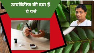 curry leaves,manage blood sugar, curry patta,increase insulin level naturally, health benefits of curry leaves,diabetes