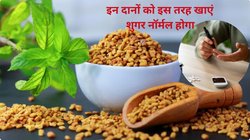 फास्टिंग शुगर कंट्रोल करना चाहते हैं तो इस तरह सुबह करें मेथी दाना का सेवन, Blood Sugar धड़ाम से आ जाएगा नीचे, तेजी से बनेगा इंसुलिन