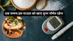 डायबिटीज का रामबाण इलाज है ये हर्बल पाउडर, रोज 5 ग्राम खाली पेट पी लें पूरा दिन Blood Sugar रहेगा नॉर्मल, आयुर्वेदिक डॉक्टर ने बताया नुस्खा