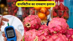 शुगर का एकमात्र इलाज है ये फल, पाचन तंत्र भी हो जाएगा मजबूत, एक्सपर्ट से जानिए कैसे करें इस्तेमाल