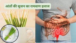 इसकी पत्तियां ही नहीं बल्कि ये सब्जी भी है अमृत, हफ्ते में 2 दिन खाने से आंतों की सूजन हो जाएगी कंट्रोल, पेट की गैस से मिलेगी निजात