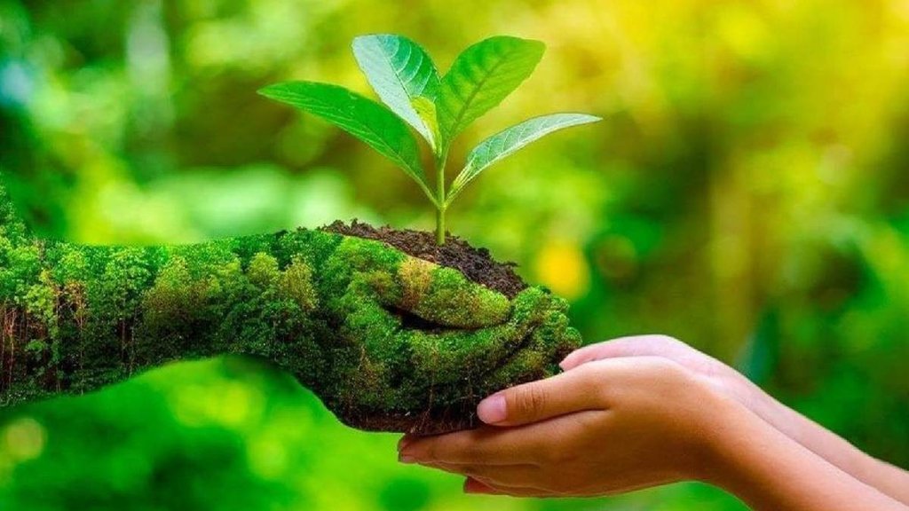 environment, supreme court warning