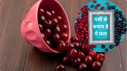 गर्मी का तोहफ़ा है ये फल, सिर्फ 15-20 दिनों तक मिलने वाला ये फ्रूट समर की 5 बीमारियों का है रामबाण इलाज, नित्यानंदन श्री ने बताए फायदे