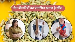 इन 3 बीमारियों में वरदान है सौंफ, हर सुबह खाली पेट 1 चम्मच चबा लीजिए, एक महीने में बीमारी हो जाएगी छूमंतर
