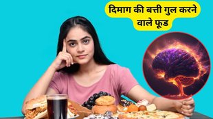 toxic foods for brain, bad foods for brain, dangerous foods for brain, worst foods for your brain, what foods do neurologists avoid, Foods that cause brain fog