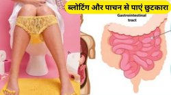 पेट की हर समस्या का इलाज हैं ये 5 फूड, ब्लॉटिंग से भी मिलेगा छुटकारा, एक्सपर्ट से जानिए कैसे करें इस्तेमाल