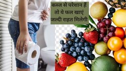कब्ज से परेशान हैं तो इन 3 फलों को रोज़ खाएं, हार्वर्ड के डॉक्टरों ने बताया दवा की तरह करेंगे काम, गैस, एसिडिटी और Constipation से हमेशा के लिए मिल जाएगा छुटकारा
