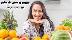 किडनी और लिवर में सालों की जमा गंदगी नेचुरल तरीके से साफ करेंगे ये 3 फल, आसपास भी नहीं भटेकेंगी बीमारियां