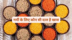 गर्मी में इन दालों का खाना कर दें शुरू, शरीर को मिलेगी ठंडक, कमजोरी के साथ-साथ पाचन तंत्र भी होगा बूस्ट
