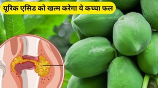 uric acid, home remedies of uric acid control, papapya for uric acid control, High uric acid remedies, how to clean purine from body